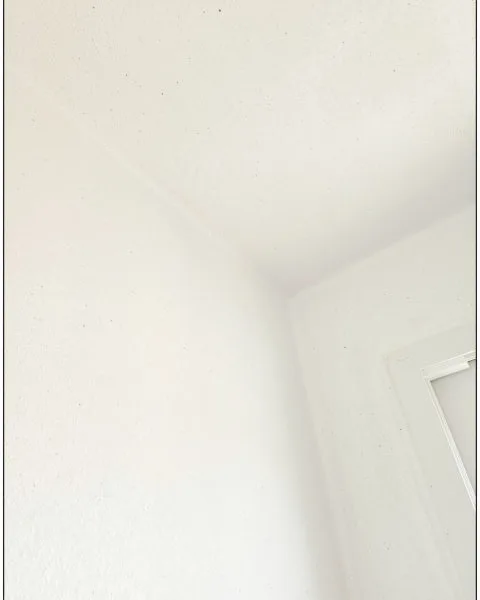 왜 대구 탄성코트 단디를 추천할까요?