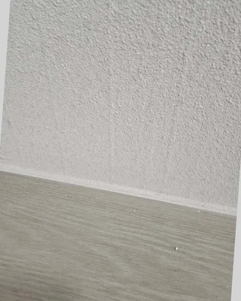 대구에서 쾌적한 생활을 위한 단디탄성코트, 이젠 걱정 없어요!