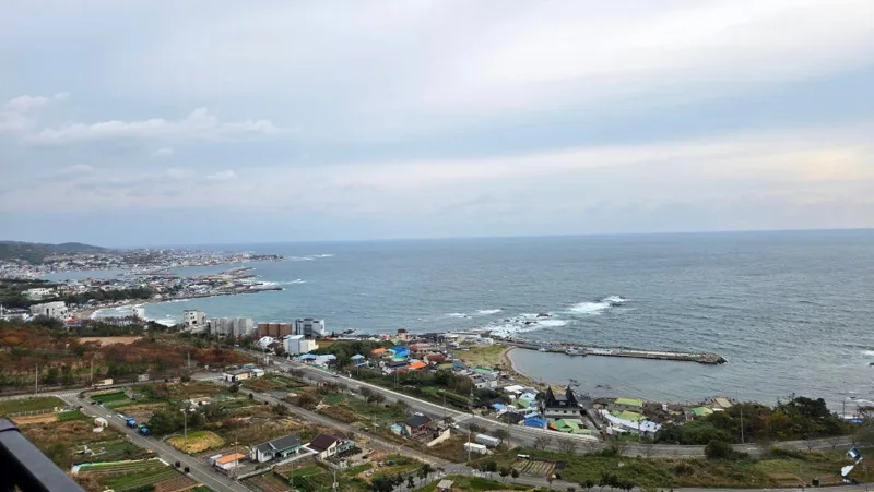 포항탄성코트 포항푸르지오마린시티 신축에도 필요한 이유